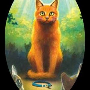 Meet your Posher, Hunter